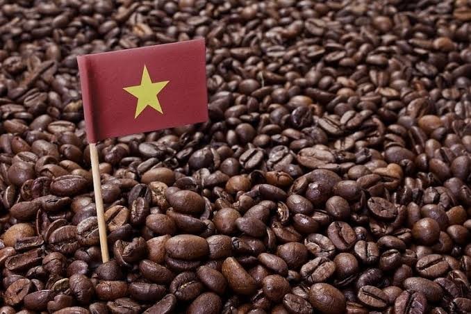 Cà phê Việt: Xuất khẩu đạt kỷ lục, đầu tư 2 triệu USD xây dựng thương hiệu quốc gia