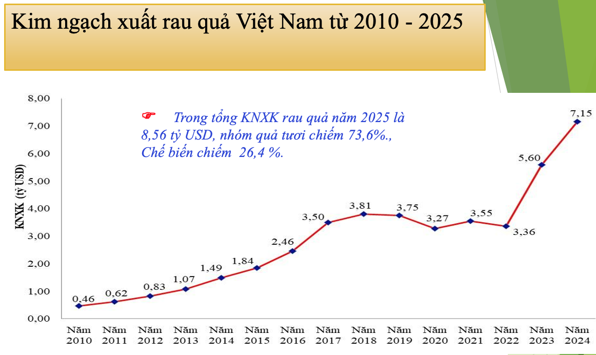 screen-shot-2026-09-04-at-105903-1788531478.png