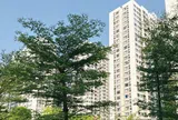 Các khu đô thị siết chung cư cho thuê homestay, dân kinh doanh tìm đường 'thoát hàng'