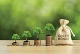 FiinRatings: Trái phiếu xanh bằng ngoại tệ đạt hơn 1 tỷ USD trong 5 năm qua