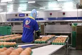 BIDV rao bán khoản nợ hơn 600 tỷ đồng của Ba Huân - biểu tượng trứng sạch một thời