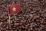 Cà phê Việt: Xuất khẩu đạt kỷ lục, đầu tư 2 triệu USD xây dựng thương hiệu quốc gia