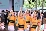Sắp có lễ hội khám phá văn hóa, ẩm thực Nhật Bản tại TP.HCM