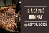 Giá cà phê 28/4: Nông dân vẫn còn giữ khoảng 40% sản lượng thu hoạch vụ 2024-2025