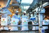 Chuyên gia thuế: Thuế xuất khẩu phân bón của Trung Quốc, Malaysia đã về 0%, Việt Nam vẫn ghì chân ở mức 5%