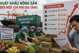 Xuất khẩu nông lâm thủy sản đối mặt chi phí gia tăng