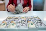 TS. Nguyễn Trí Hiếu: Nhập khẩu vàng lúc này có thể khiến áp lực tỷ giá thêm căng thẳng