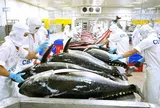 Bộ Công Thương: Mặt hàng thủy sản xuất khẩu chủ lực của Việt Nam đã bị kiến nghị điều tra tại Mỹ