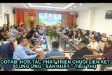 COTAB: Hợp tác phát triển chuỗi liên kết cung ứng - sản xuất – tiêu thụ