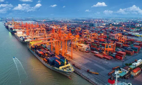 TP.Hồ Chí Minh cần cơ chế đủ mạnh cho Khu thương mại tự do và  Khu logistics tích hợp