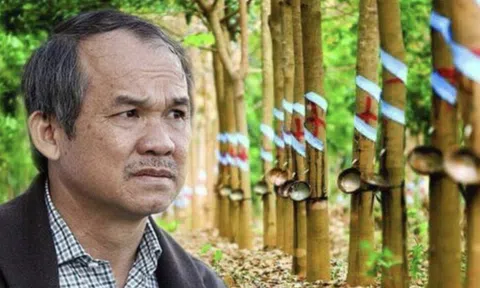 Từ tuyên bố 'phải bán nhà cũng trồng cao su', nhìn lại giấc mơ 'vàng trắng' của bầu Đức