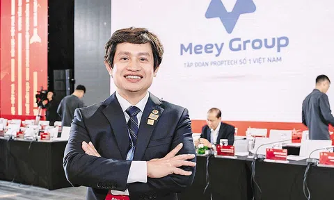 Meey Global Corp nộp hồ sơ IPO tại Mỹ: Vén màn bức tranh kinh doanh