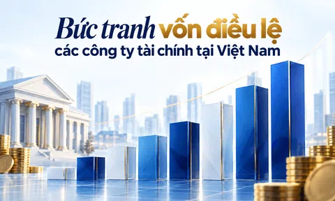 Bức tranh vốn điều lệ các công ty tài chính tại Việt Nam