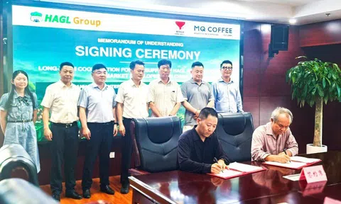Cà phê của Bầu Đức có thể xuất khẩu nghìn tấn tới Trung Quốc