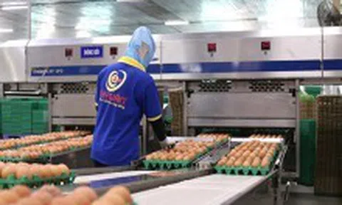 BIDV rao bán khoản nợ hơn 600 tỷ đồng của Ba Huân, đảm bảo bằng nhà máy, cổ phần, hàng tồn kho