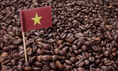 Cà phê Việt: Xuất khẩu đạt kỷ lục, đầu tư 2 triệu USD xây dựng thương hiệu quốc gia
