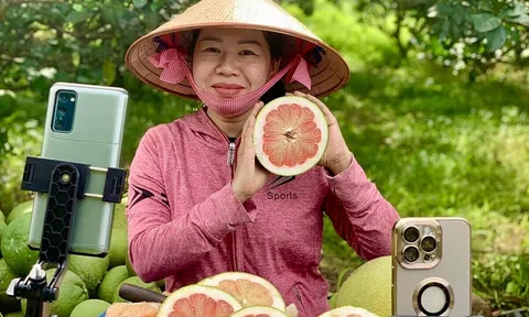 Nhiều thách thức cho HTX livestream bán hàng thực phẩm tươi sống