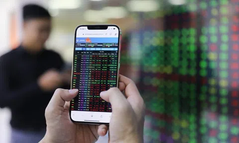 VinaCapital: Đợt bán tháo mở ra cơ hội mua vào cổ phiếu cơ bản tốt