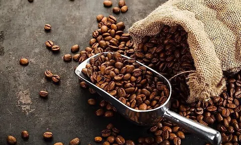 Giảm đến 2.500 đồng/kg, giá cà phê ở mức thấp đáng báo động trong tháng