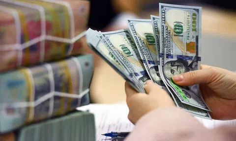 Mức thuế 46% của Mỹ tác động ra sao đến tỷ giá?