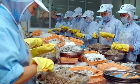 VASEP đề xuất giảm thuế nhập khẩu về 0% đối với mặt hàng thủy sản từ Mỹ