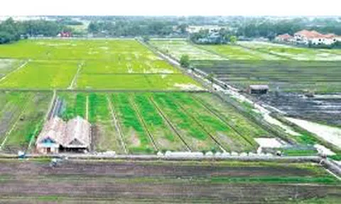 Tiếp tục gia hạn tiền thuê đất năm 2025