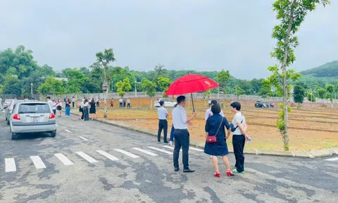 ‘Cò đất dậy sóng’ và chuyện doanh nghiệp bỏ xưởng đi buôn bất động sản