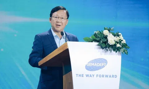 Gemadept, Vĩnh Hoàn, Navico, Masan, HAGL đồng loạt trấn an nhà đầu tư