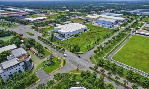 Chính thức giảm 30% tiền thuê đất năm 2024