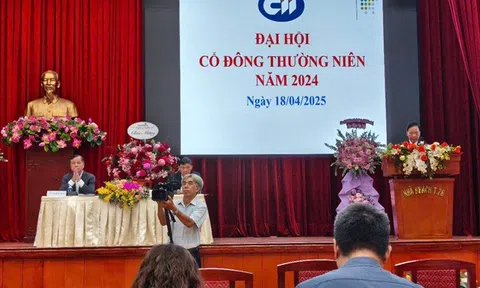 ĐHĐCĐ CII: Giải phóng mặt bằng, xử lý rủi ro dự án TOD Hàng Xanh ra sao?