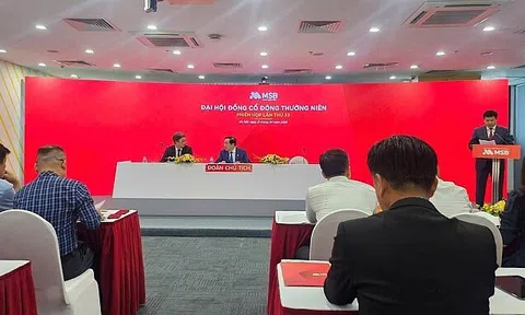 ĐHĐCĐ MSB: Mục tiêu lãi 16%, chia cổ tức 20%, thoái vốn TNEX Finance