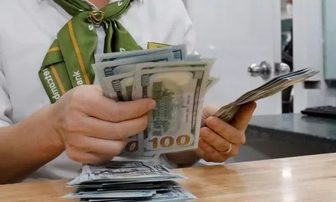 Tại sao tỷ giá 'chạy' khác mọi năm?