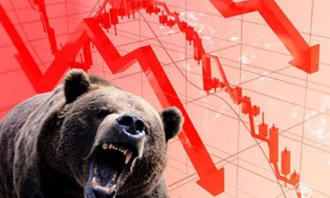 Áp lực bán tháo bất ngờ đổ bộ, VN-Index giảm gần 60 điểm đầu phiên chiều