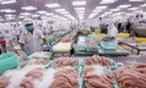 VASEP kiến nghị 2 gói hỗ trợ doanh nghiệp thủy sản đối phó với thuế đối ứng của Mỹ