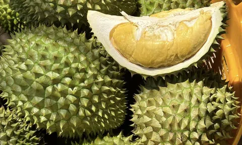 Sầu riêng Việt bị Thái Lan vượt mặt tại Trung Quốc, thêm mối nguy mới từ Lào