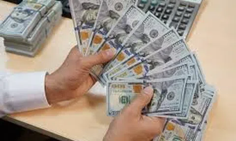 Kho bạc Nhà nước chào mua thêm 110 triệu USD từ các ngân hàng