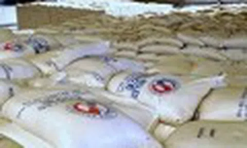 Sức ép cạnh tranh lên gạo Việt tại Philippines gia tăng