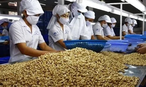 Mỹ áp thuế, loại hạt tỷ đô của Việt Nam chuyển hướng đẩy mạnh sang Trung Đông