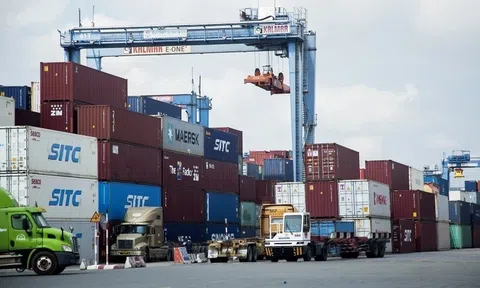 42 tờ khai hàng xuất khẩu sang Mỹ bị hủy tại TP. HCM