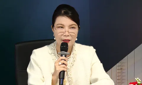 Lãnh đạo IDICO: Vẫn giữ giá cho thuê khu công nghiệp như năm 2024