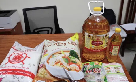 Thu hồi mì chính giả