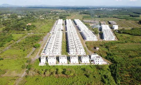 LDG sẽ trả lại tiền cho người mua biệt thự tại dự án Tân Thịnh