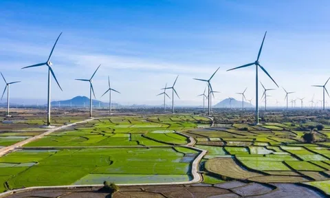 Hoa Kỳ muốn rót vốn đầu tư vào năng lượng điện gió và công nghệ tại Bình Thuận