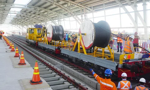 CADIVI: 50 năm góp sức vững mạch dẫn, sáng non sông