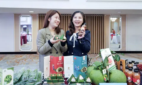 Nông sản Khánh Hòa: Hành trình đạt chuẩn OCOP quốc gia, chinh phục người tiêu dùng
