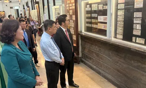 Trưng bày bộ sưu tập tiền Việt Nam quy mô lớn tại TP. Hồ Chí Minh