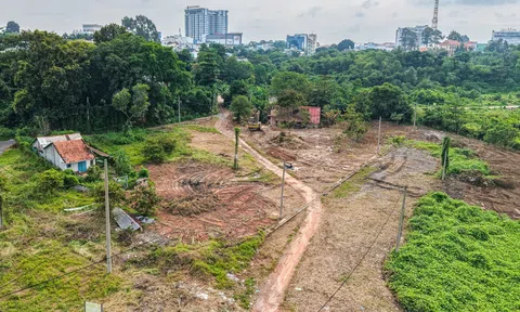 TP. Hồ Chí Minh: Hàng trăm dự án thoát “án treo” khi hơn 100 ha đất nông nghiệp được làm nhà ở thương mại