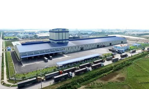 Dự tính IPO 30 triệu cổ phiếu HPA, Thép Hòa Phát hứa sẽ trả cổ tức tiền mặt hằng năm