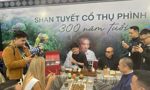 Nhiều kỷ lục về văn hóa trà Việt được xác lập