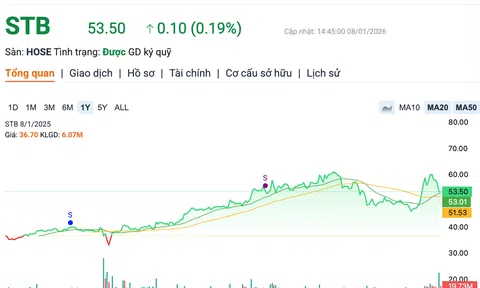 Thay đổi nhân sự cấp cao, Sacombank lỗ quý 4/2025, giá cổ phiếu lao dốc